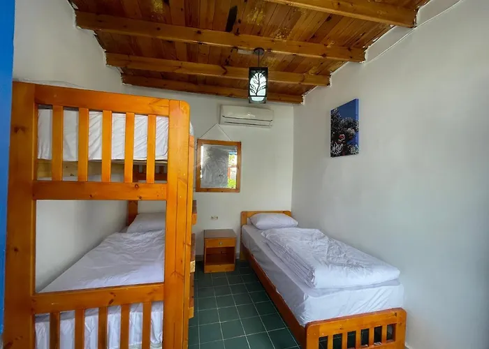 Hostel Auski